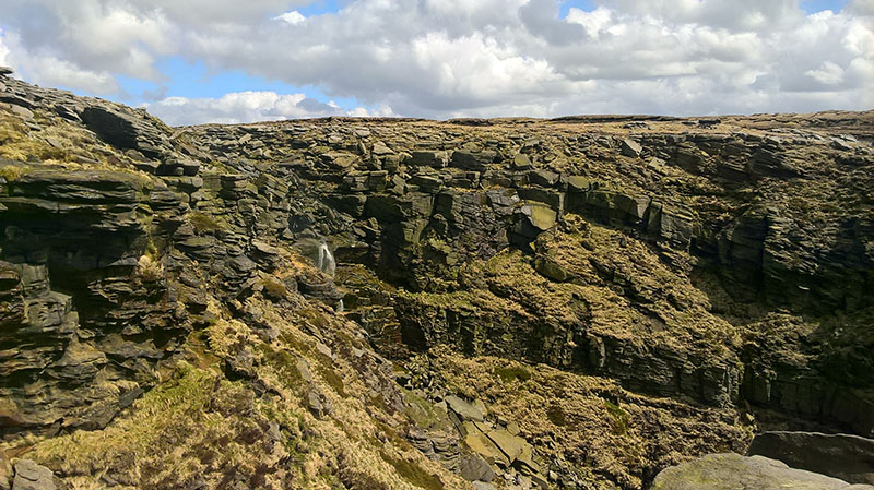 hayfield1