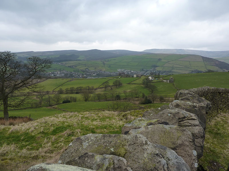hayfield3