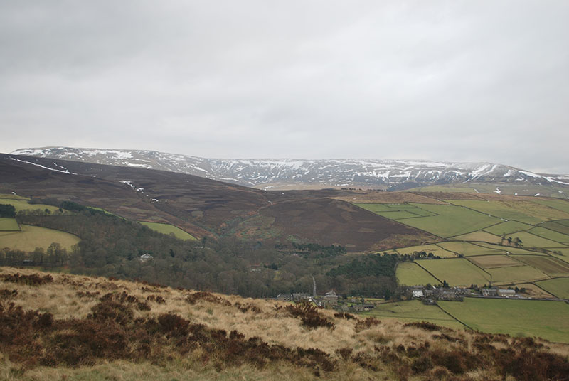hayfield4